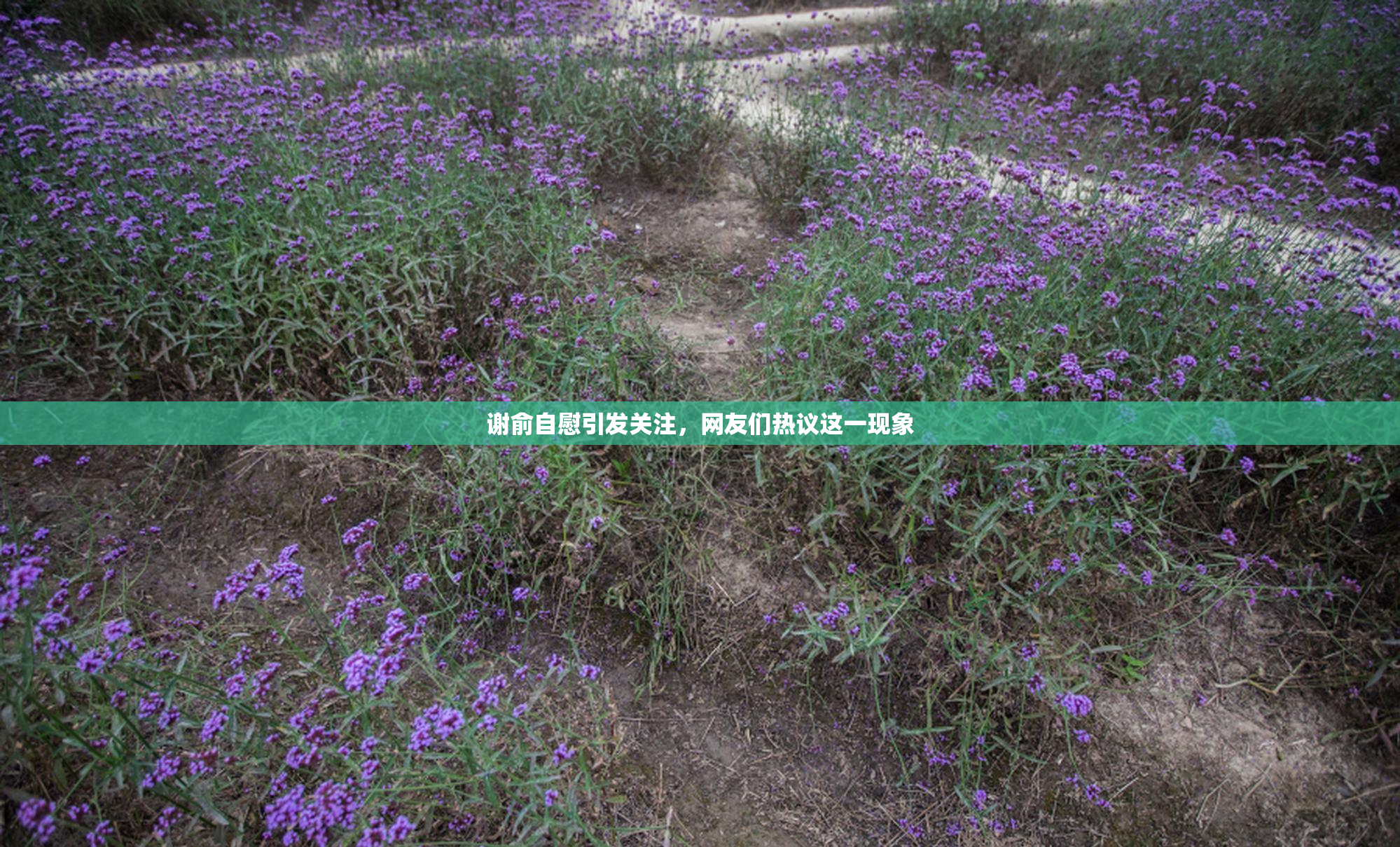 谢俞自慰引发关注，网友们热议这一现象