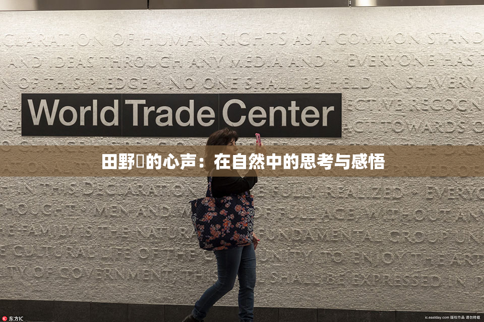 田野憂的心声：在自然中的思考与感悟