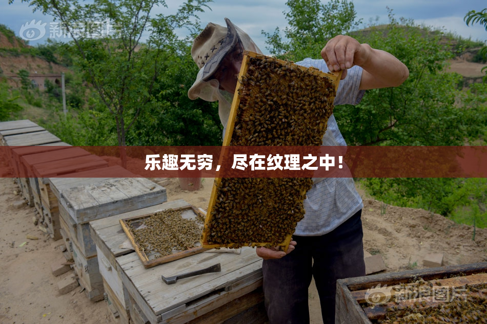乐趣无穷，尽在纹理之中！