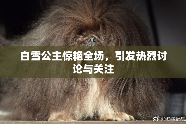 白雪公主惊艳全场，引发热烈讨论与关注