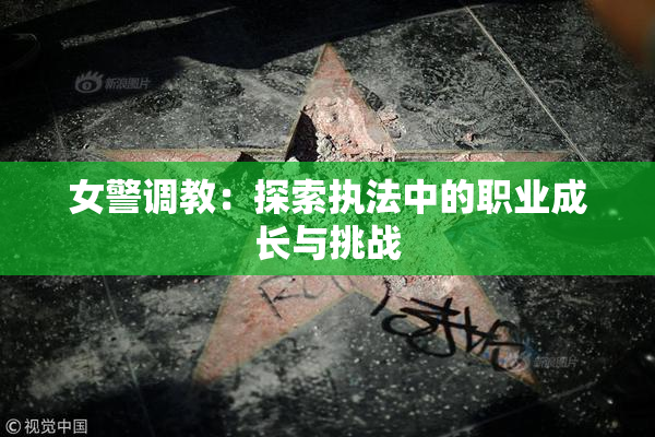 女警调教：探索执法中的职业成长与挑战