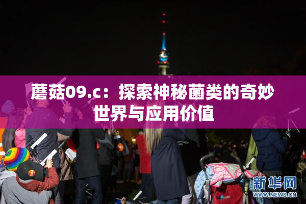 蘑菇09.c：探索神秘菌类的奇妙世界与应用价值