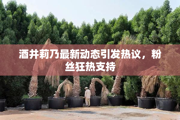 酒井莉乃最新动态引发热议，粉丝狂热支持