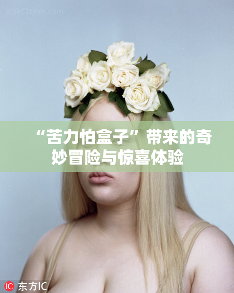 “苦力怕盒子”带来的奇妙冒险与惊喜体验