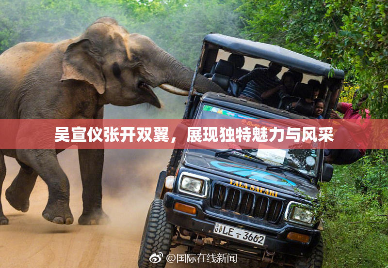 吴宣仪张开双翼，展现独特魅力与风采