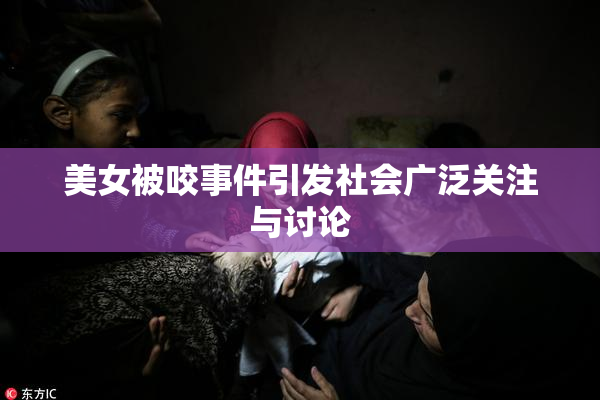 美女被咬事件引发社会广泛关注与讨论