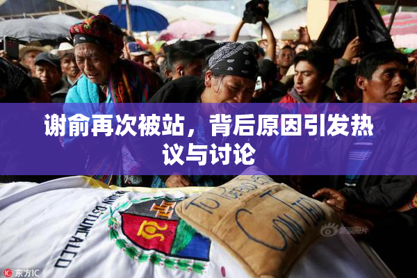 谢俞再次被站，背后原因引发热议与讨论
