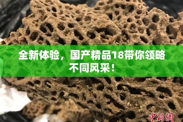 全新体验，国产精品18带你领略不同风采！