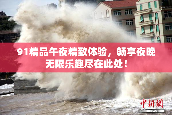 91精品午夜精致体验，畅享夜晚无限乐趣尽在此处！