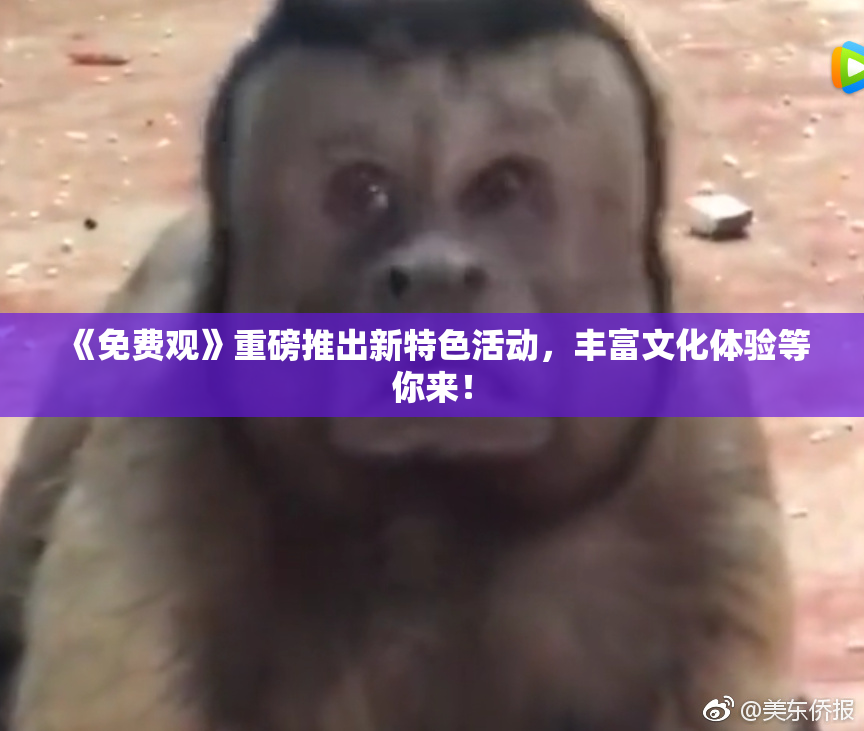 《免费观》重磅推出新特色活动，丰富文化体验等你来！