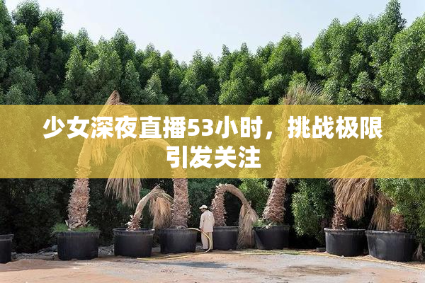 少女深夜直播53小时，挑战极限引发关注