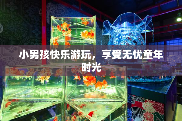 小男孩快乐游玩，享受无忧童年时光