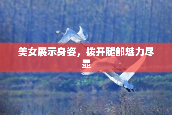 美女展示身姿，拨开腿部魅力尽显