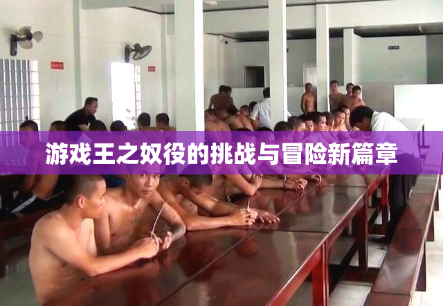 游戏王之奴役的挑战与冒险新篇章
