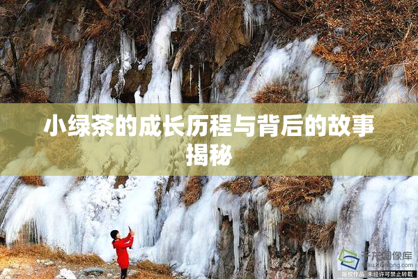 小绿茶的成长历程与背后的故事揭秘
