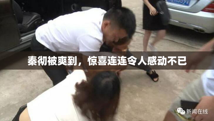 秦彻被爽到，惊喜连连令人感动不已