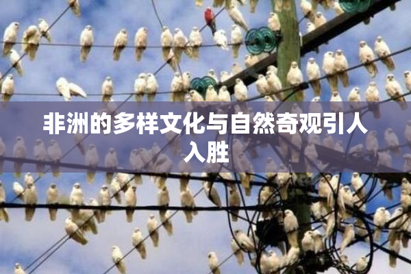 非洲的多样文化与自然奇观引人入胜