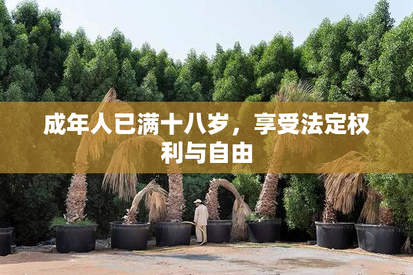 成年人已满十八岁，享受法定权利与自由
