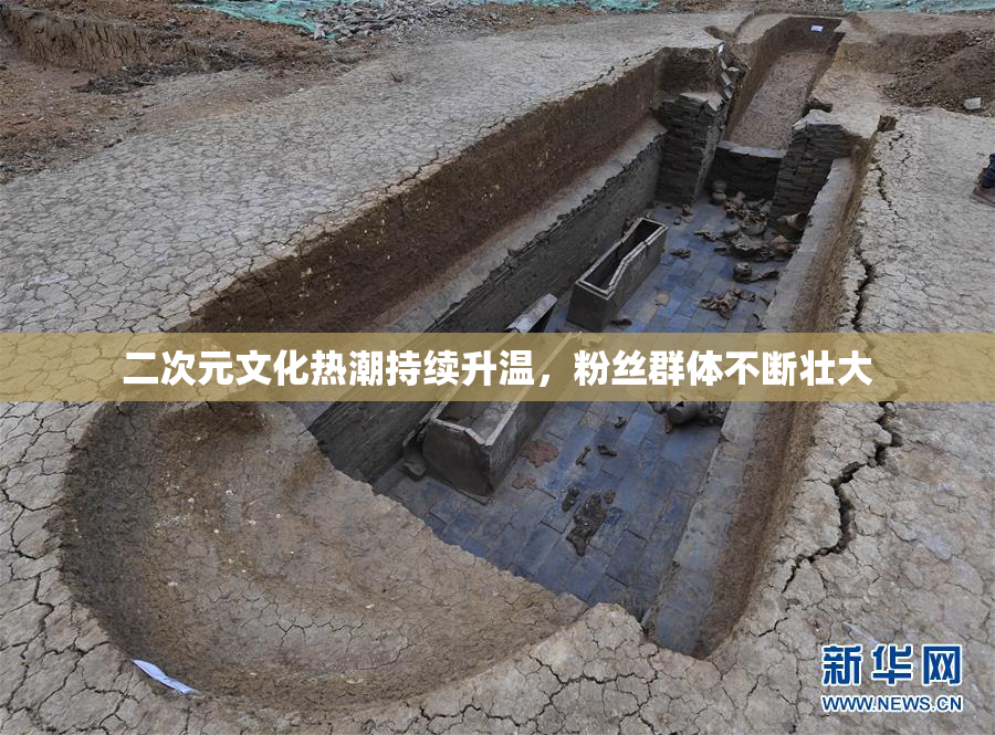 二次元文化热潮持续升温，粉丝群体不断壮大