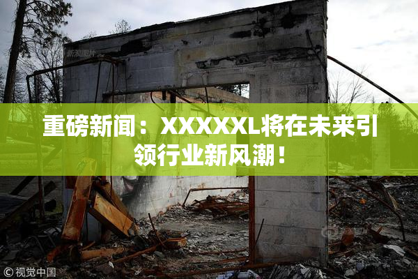 重磅新闻：XXXXXL将在未来引领行业新风潮！