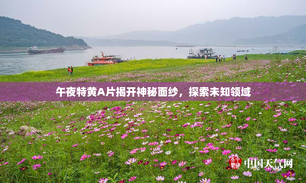 午夜特黄A片揭开神秘面纱，探索未知领域