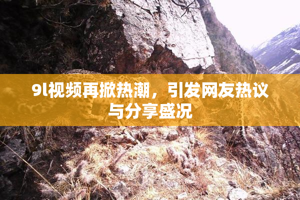 9l视频再掀热潮，引发网友热议与分享盛况