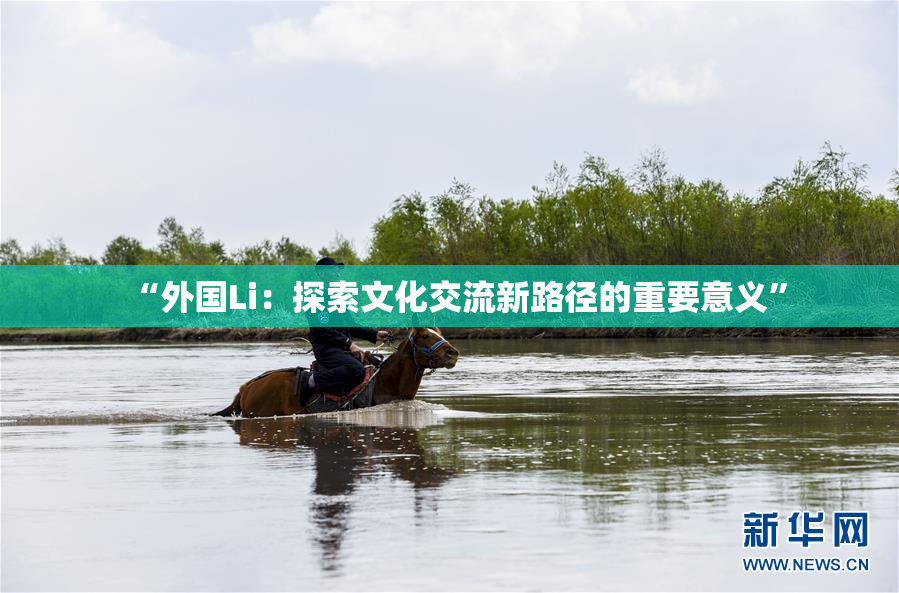 “外国Li：探索文化交流新路径的重要意义”
