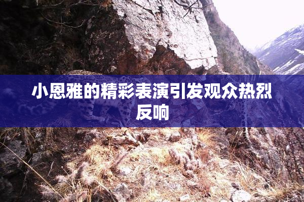 小恩雅的精彩表演引发观众热烈反响