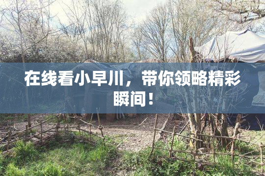 在线看小早川，带你领略精彩瞬间！