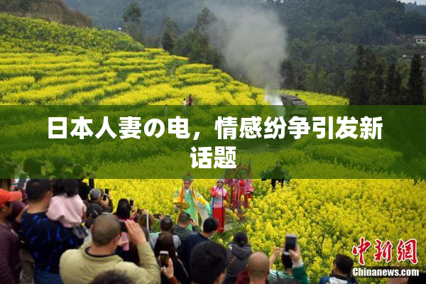 日本人妻の电，情感纷争引发新话题