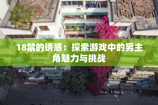 18禁的诱惑：探索游戏中的男主角魅力与挑战