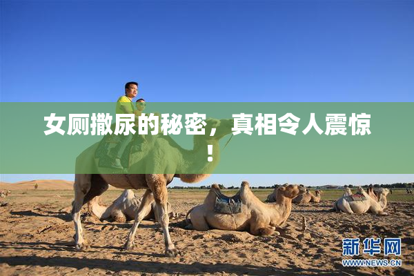 女厕撒尿的秘密，真相令人震惊！