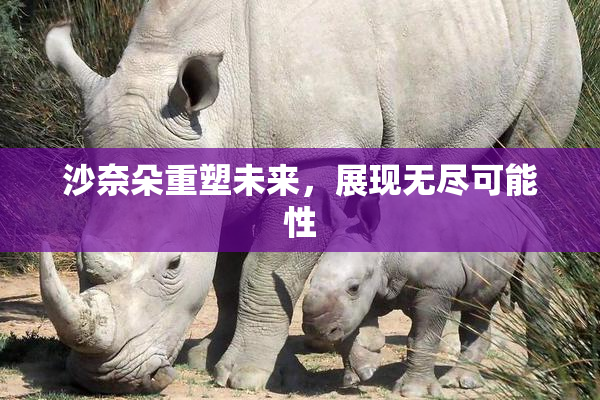 沙奈朵重塑未来，展现无尽可能性