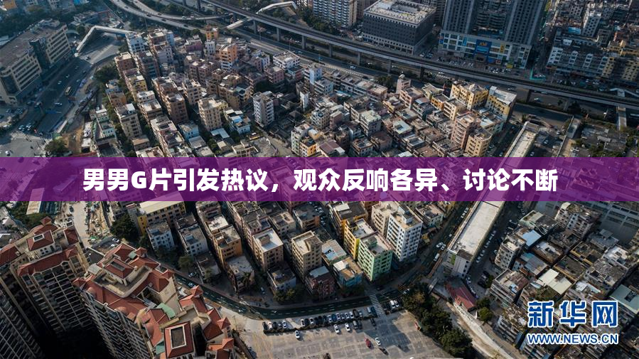 男男G片引发热议，观众反响各异、讨论不断