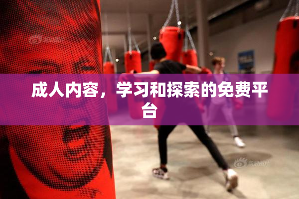 成人内容，学习和探索的免费平台