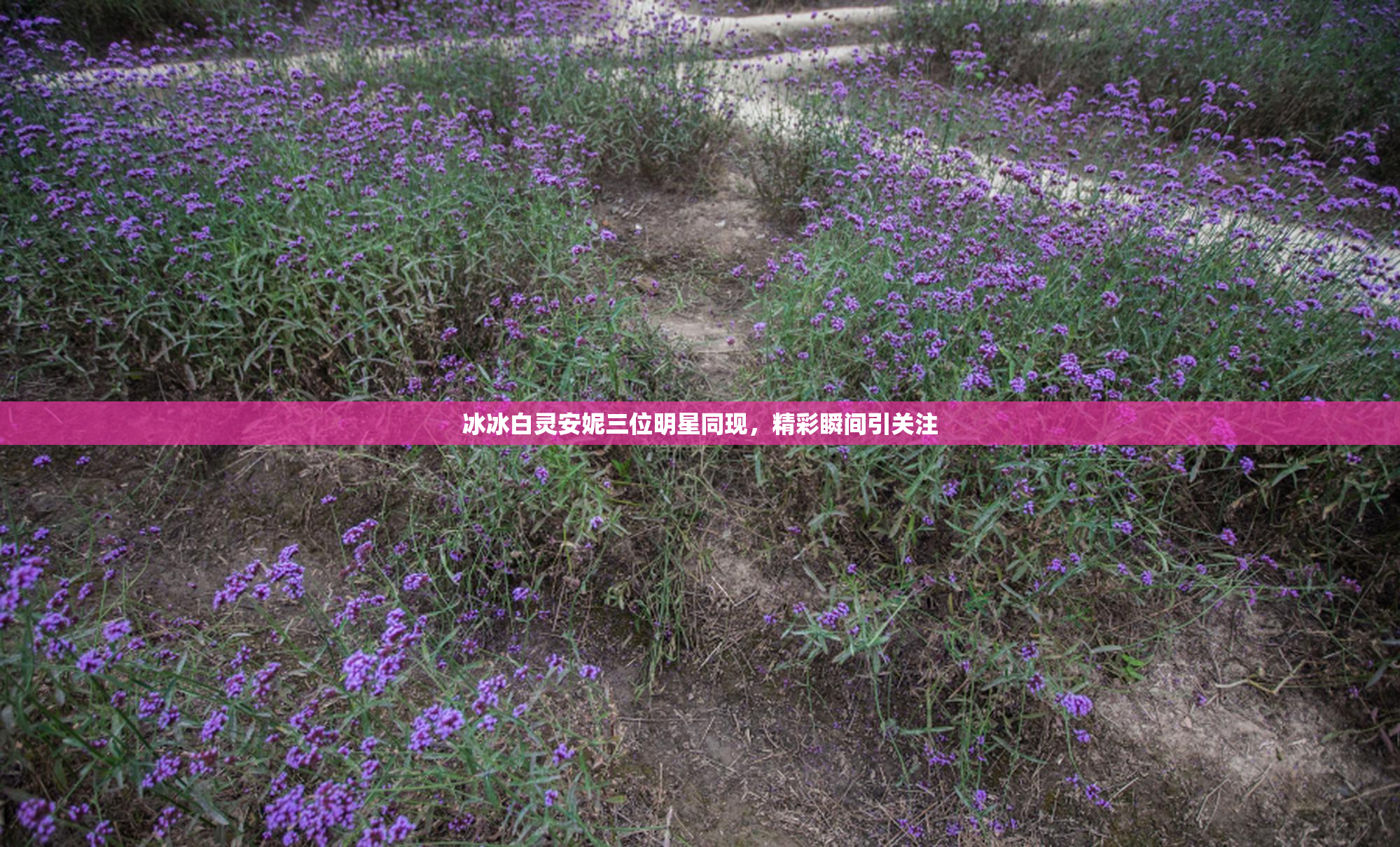 冰冰白灵安妮三位明星同现，精彩瞬间引关注