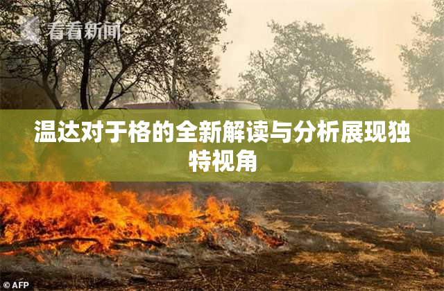 温达对于格的全新解读与分析展现独特视角
