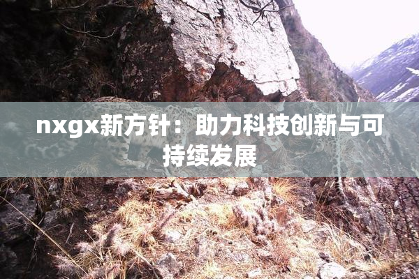 nxgx新方针：助力科技创新与可持续发展