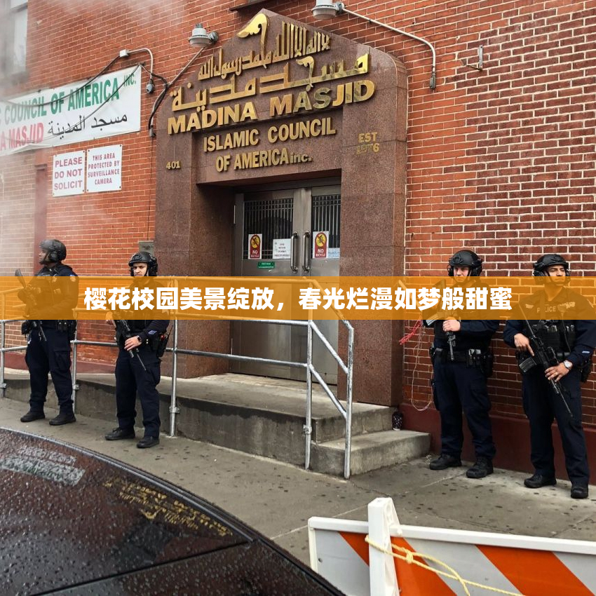 樱花校园美景绽放，春光烂漫如梦般甜蜜