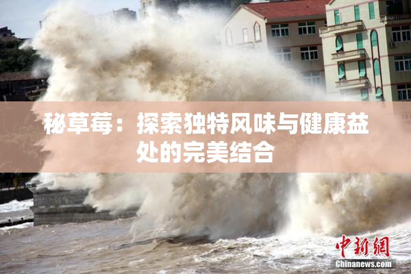 秘草莓：探索独特风味与健康益处的完美结合
