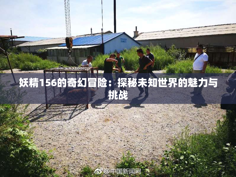 妖精156的奇幻冒险：探秘未知世界的魅力与挑战