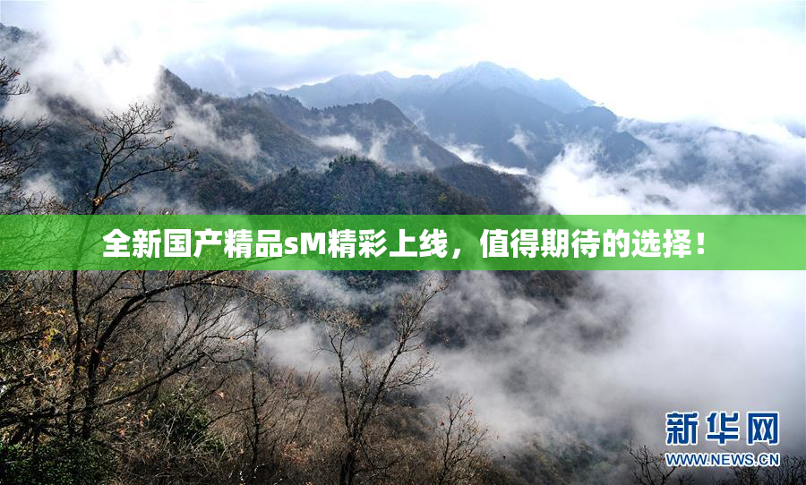 全新国产精品sM精彩上线，值得期待的选择！