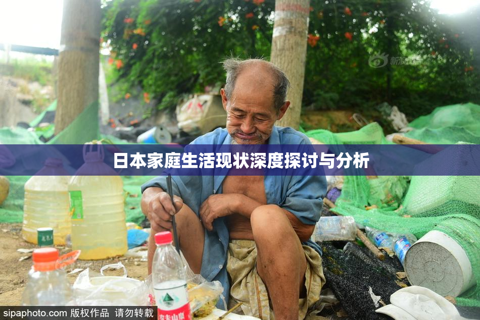 日本家庭生活现状深度探讨与分析