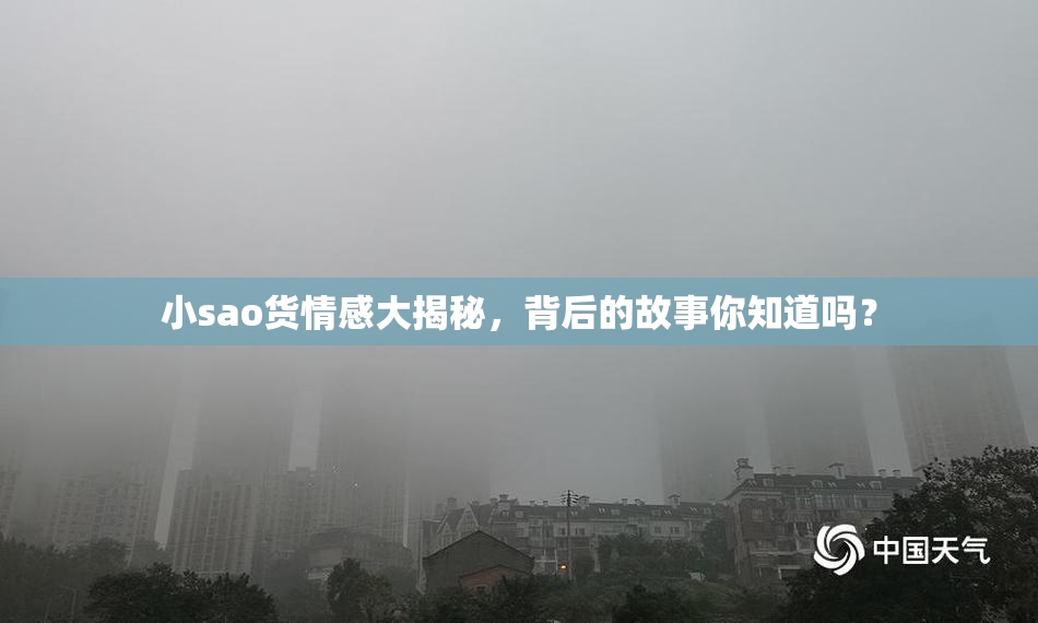 小sao货情感大揭秘，背后的故事你知道吗？