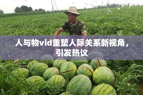 人与物vid重塑人际关系新视角，引发热议