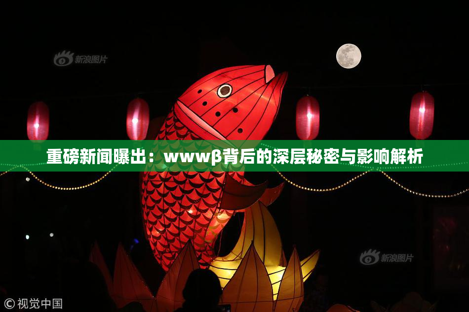 重磅新闻曝出：wwwβ背后的深层秘密与影响解析