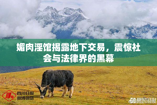媚肉淫馆揭露地下交易，震惊社会与法律界的黑幕