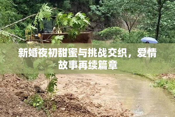 新婚夜初甜蜜与挑战交织，爱情故事再续篇章