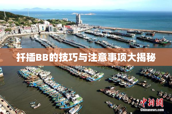 扦插BB的技巧与注意事项大揭秘