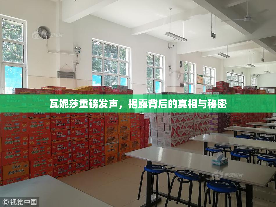 瓦妮莎重磅发声，揭露背后的真相与秘密